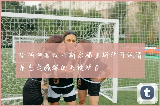 哈珀坦言向卡斯尔福克斯学习认清角色是赢球的关键所在